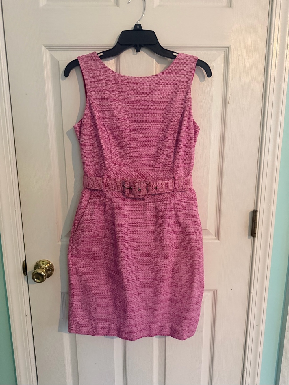 Banana Republic Sleeveless Pink Belted Sheath Dress